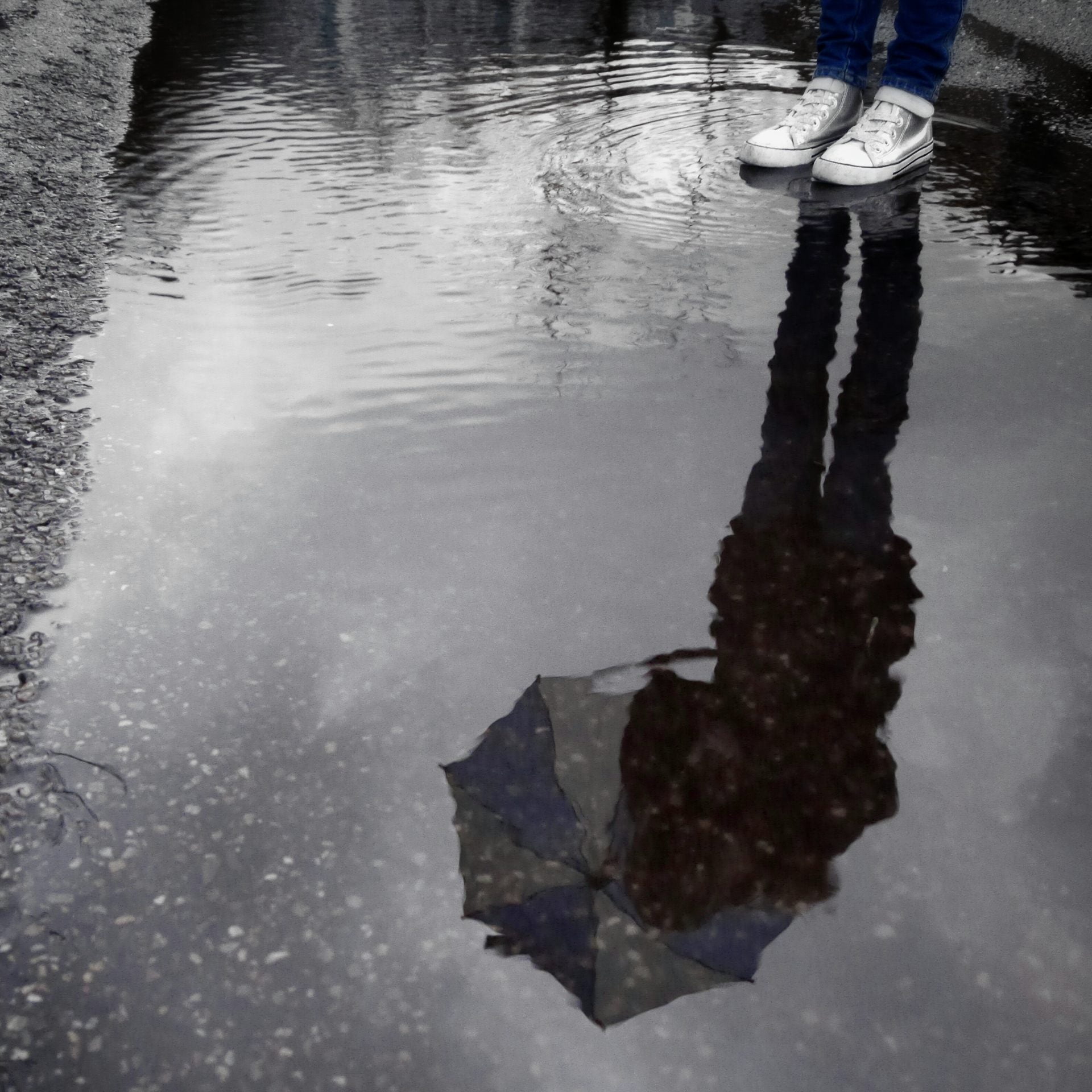 puddle-and-silhouette-reflection-with-umbrella-2024-05-31-00-31-03-utc (1)